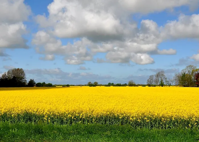 Museumshof Aparthotel