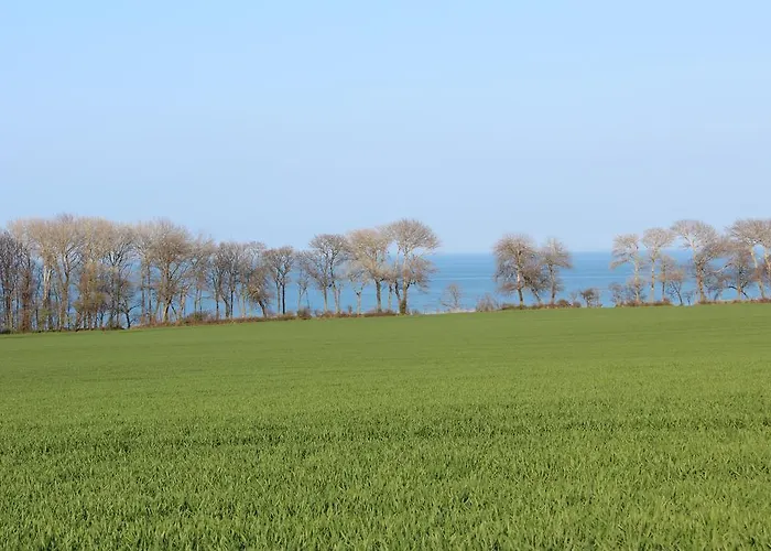 Aparthotel Museumshof 4*